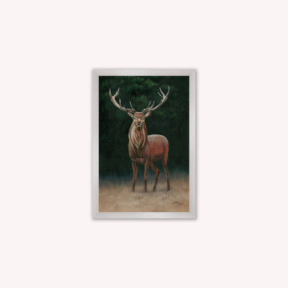 Luxury Velvet Art Print - Wellington Stag Framed Wall Art