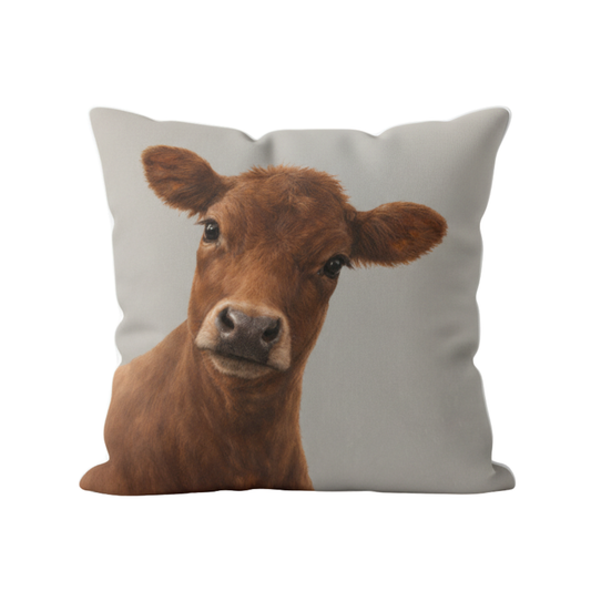 Curious Brown Cow Velvet Cushion - 60 x 60