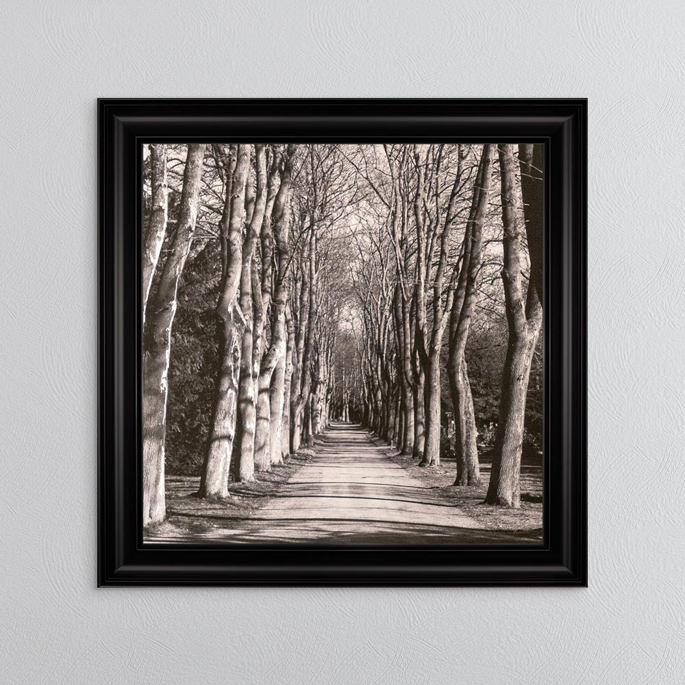 Mono Path with Silver Foil Embellishment - Framed Wall Art