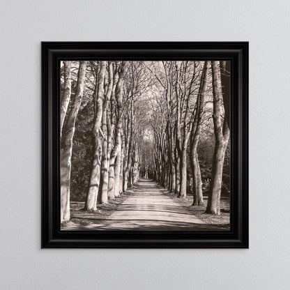 Mono Path with Silver Foil Embellishment - Framed Wall Art