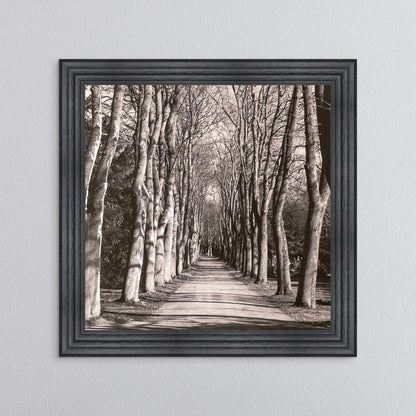 Mono Path with Silver Foil Embellishment - Framed Wall Art