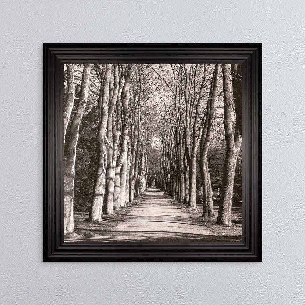 Mono Path with Silver Foil Embellishment - Framed Wall Art