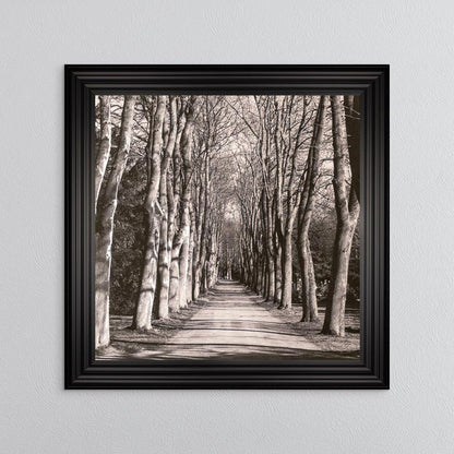 Mono Path with Silver Foil Embellishment - Framed Wall Art