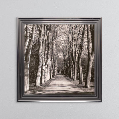 Mono Path with Silver Foil Embellishment - Framed Wall Art