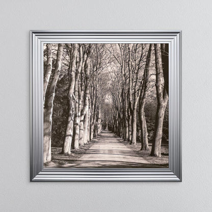 Mono Path with Silver Foil Embellishment - Framed Wall Art