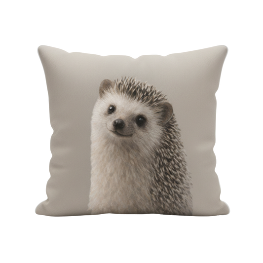 Curious Hedgehog Velvet Cushion - 60 x 60