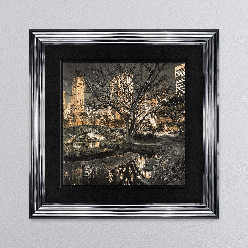 Central Park with Black Mount Framed Wall Art