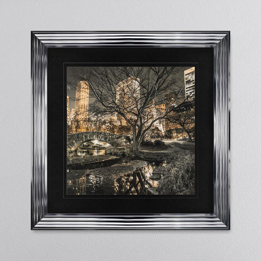 Central Park with Black Mount Framed Wall Art