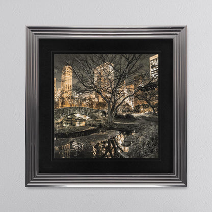 Central Park with Black Mount Framed Wall Art