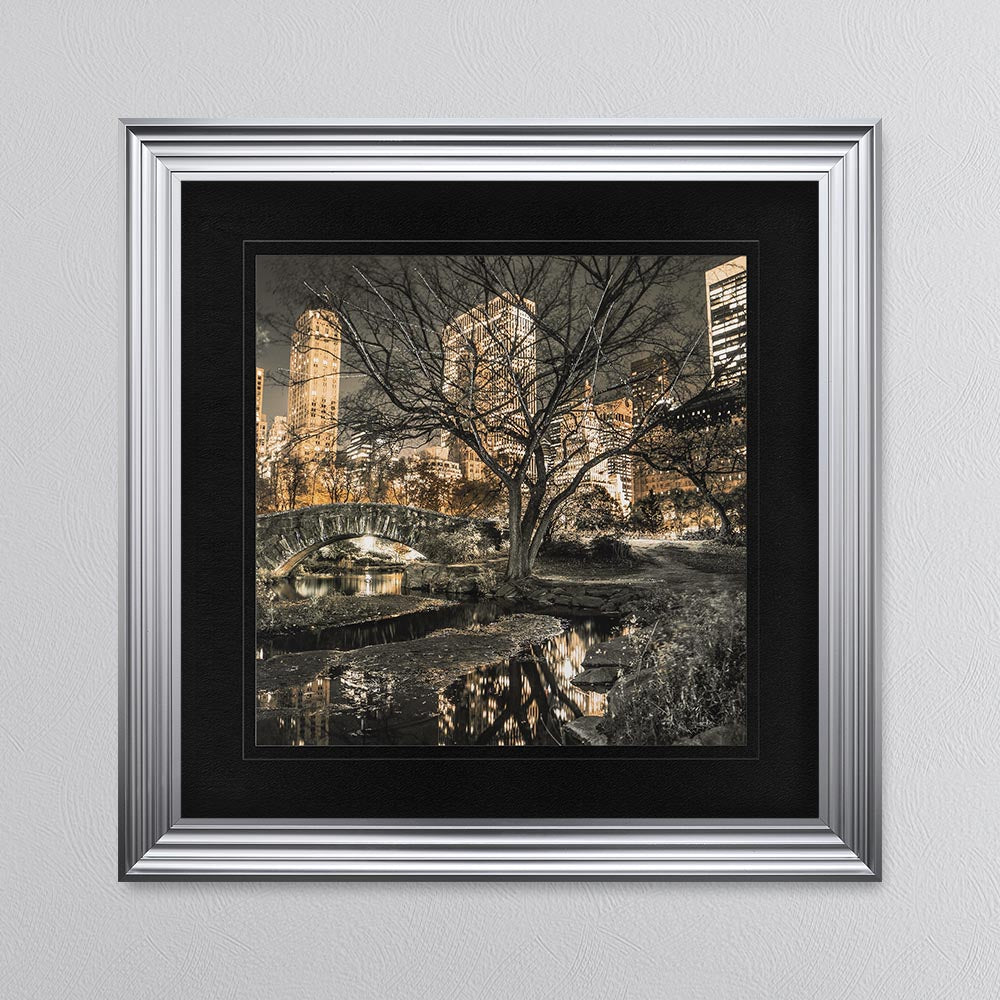Central Park with Black Mount Framed Wall Art