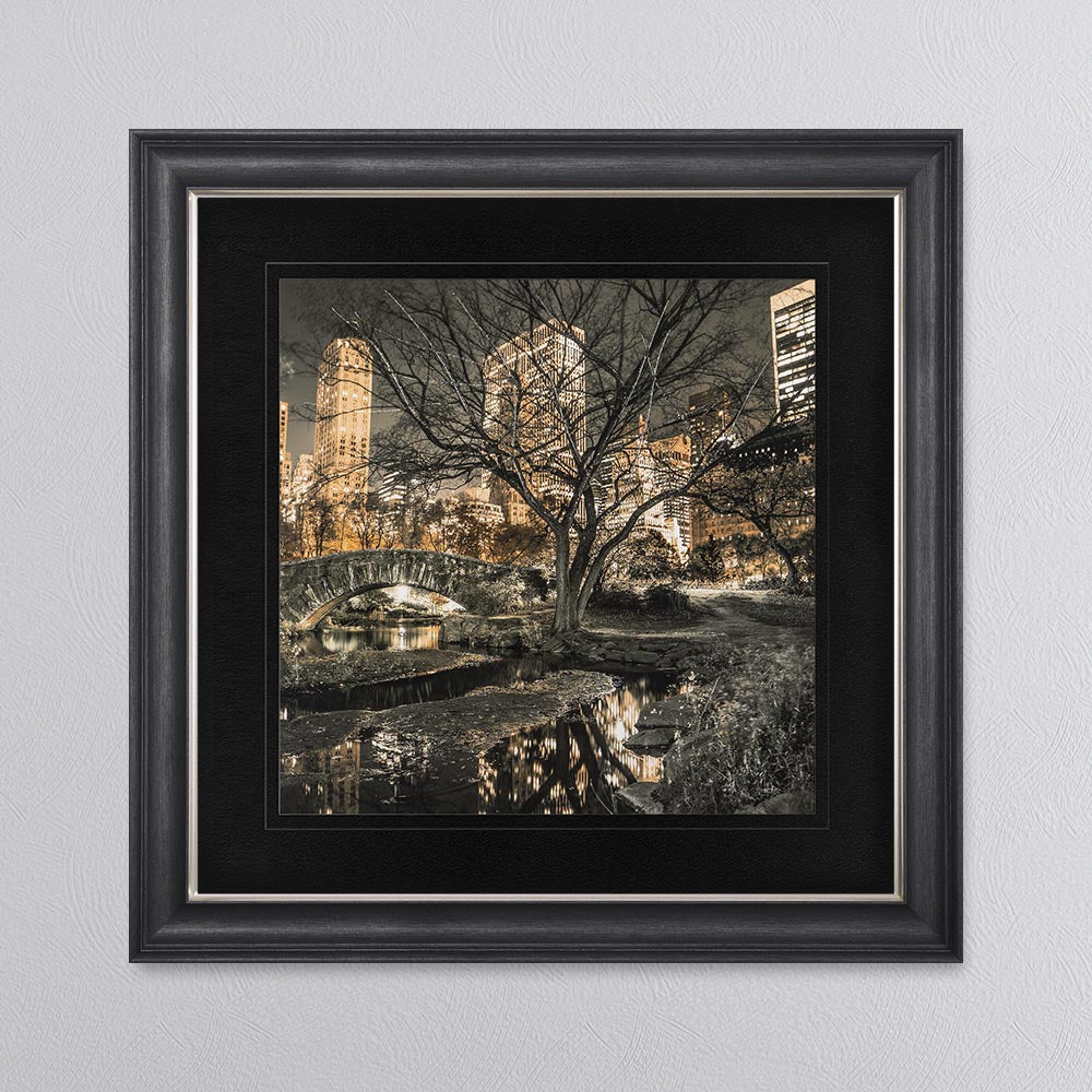 Central Park with Black Mount Framed Wall Art