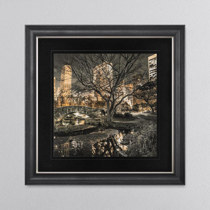 Central Park with Black Mount Framed Wall Art