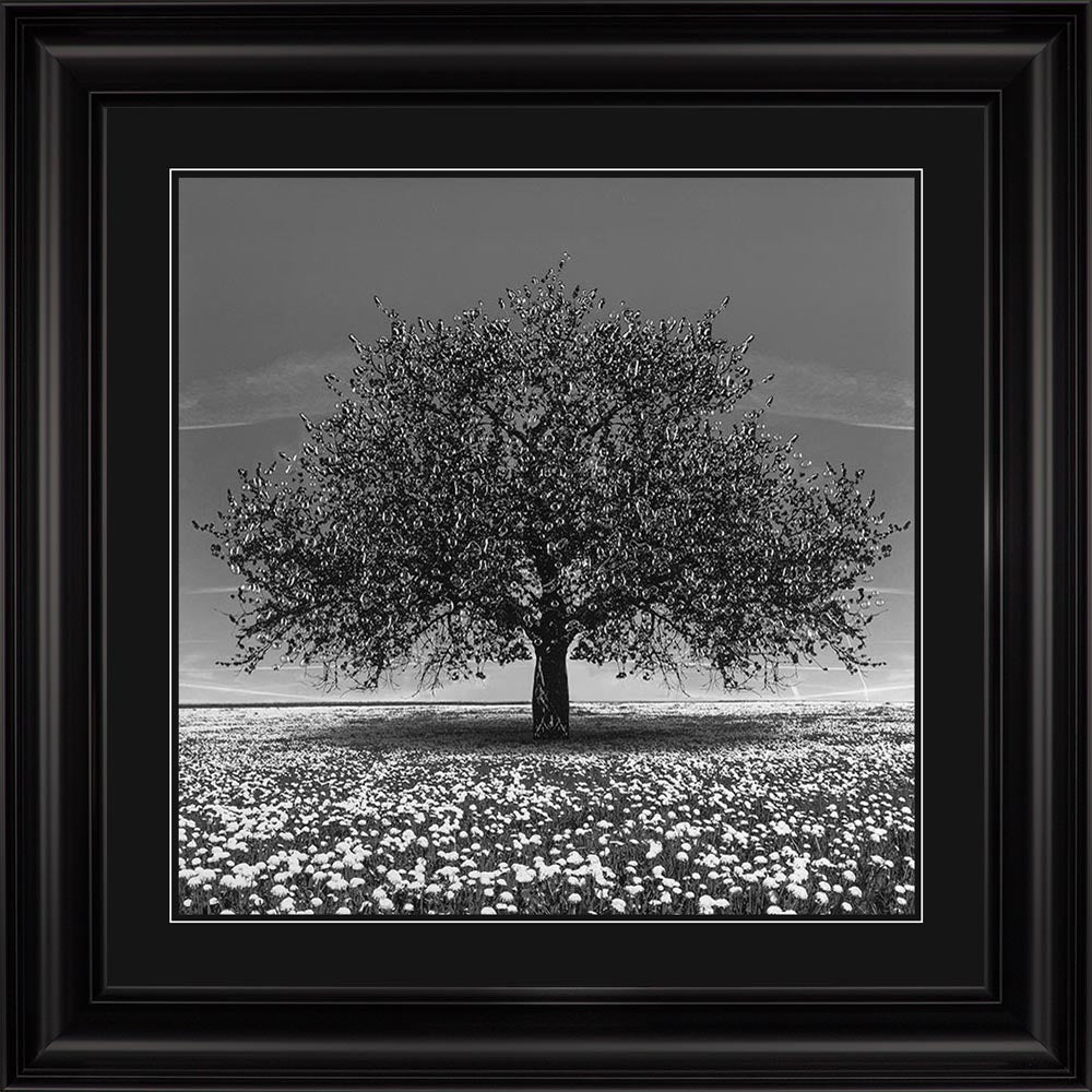 Black Cherry Tree with Black Mount Framed Wall Art