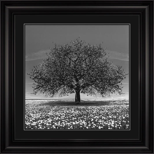 Black Cherry Tree with Black Mount Framed Wall Art