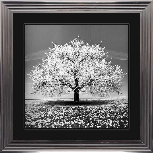 White Cherry Tree with Black Mount Framed Wall Art
