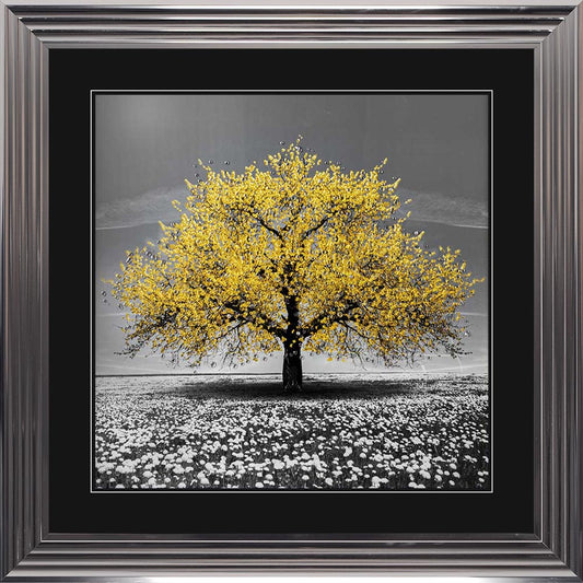 Yellow Cherry Tree with Black Mount Framed Wall Art