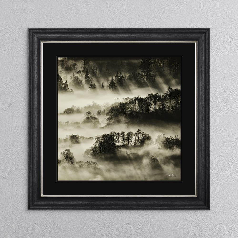Misty Trees with Black Mount Framed Wall Art