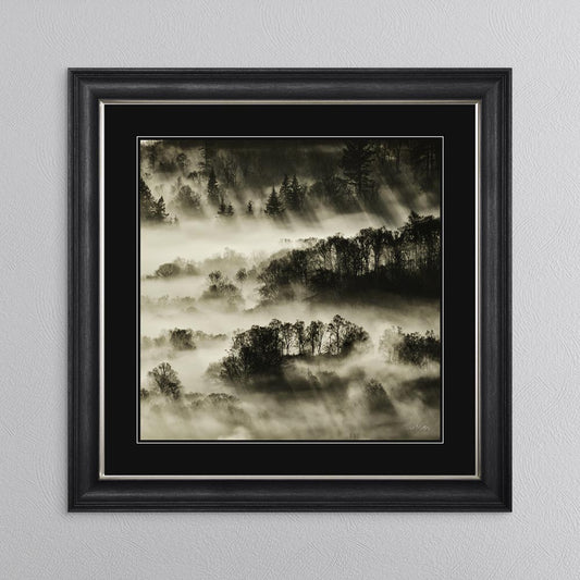 Misty Trees with Black Mount Framed Wall Art