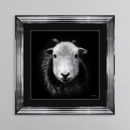 Sid The Sheep with Black Mount Framed Wall Art