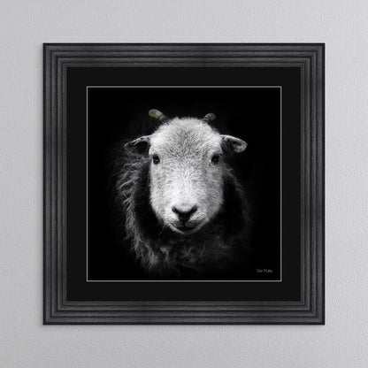 Sid The Sheep with Black Mount Framed Wall Art