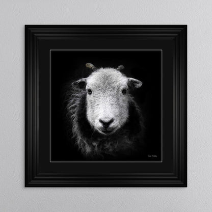 Sid The Sheep with Black Mount Framed Wall Art