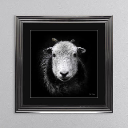 Sid The Sheep with Black Mount Framed Wall Art