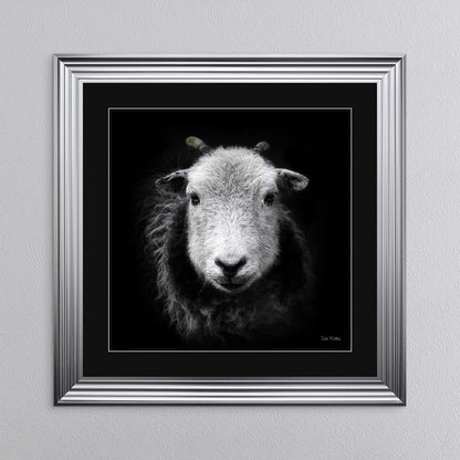 Sid The Sheep with Black Mount Framed Wall Art