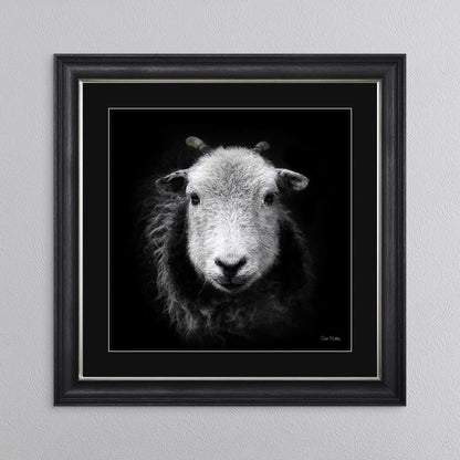 Sid The Sheep with Black Mount Framed Wall Art