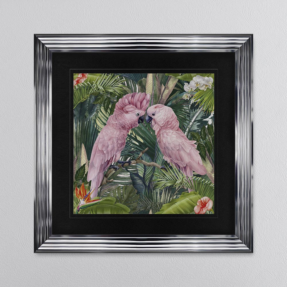 Jungle Love Cockatoo with Black Mount Framed Wall Art