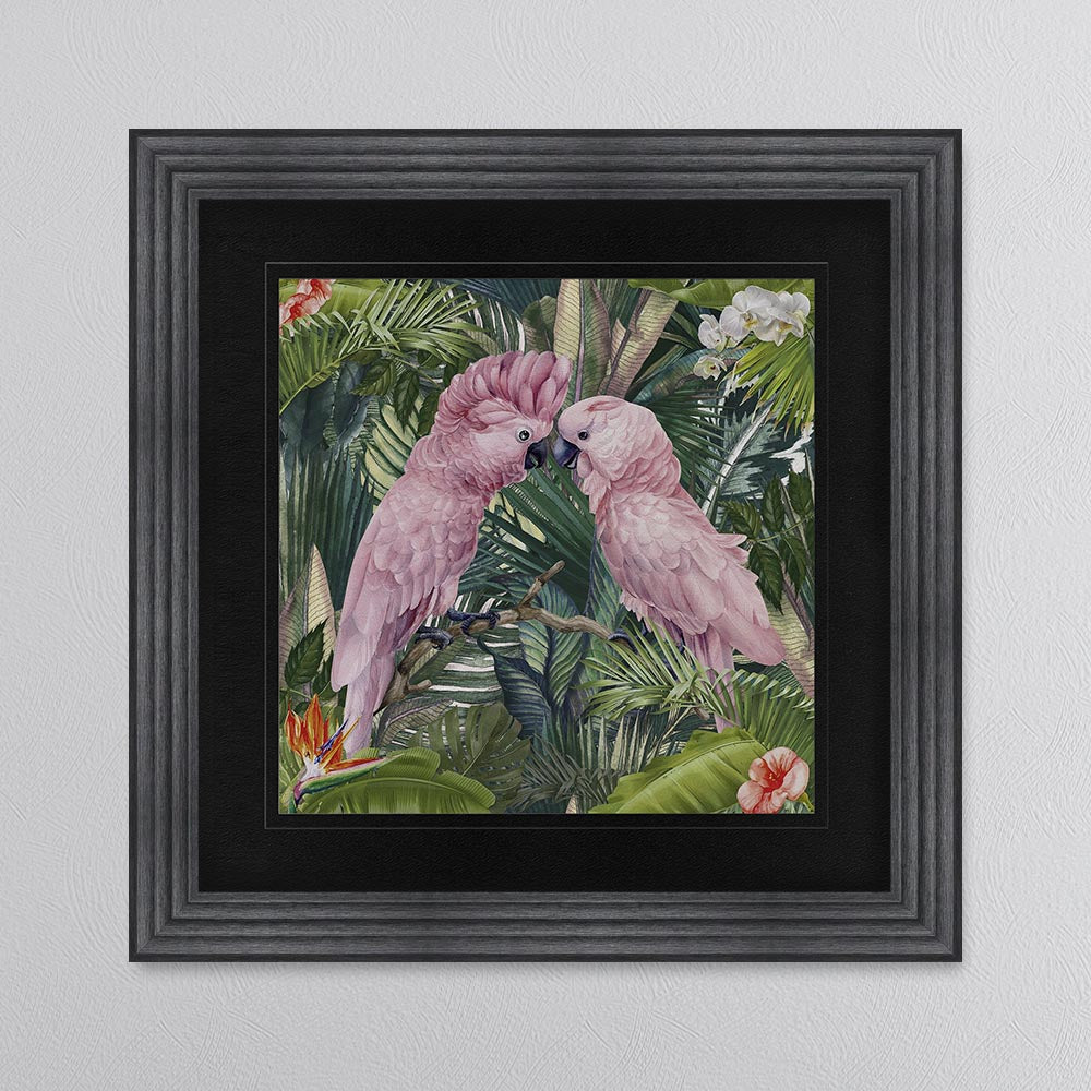 Jungle Love Cockatoo with Black Mount Framed Wall Art