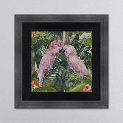 Jungle Love Cockatoo with Black Mount Framed Wall Art