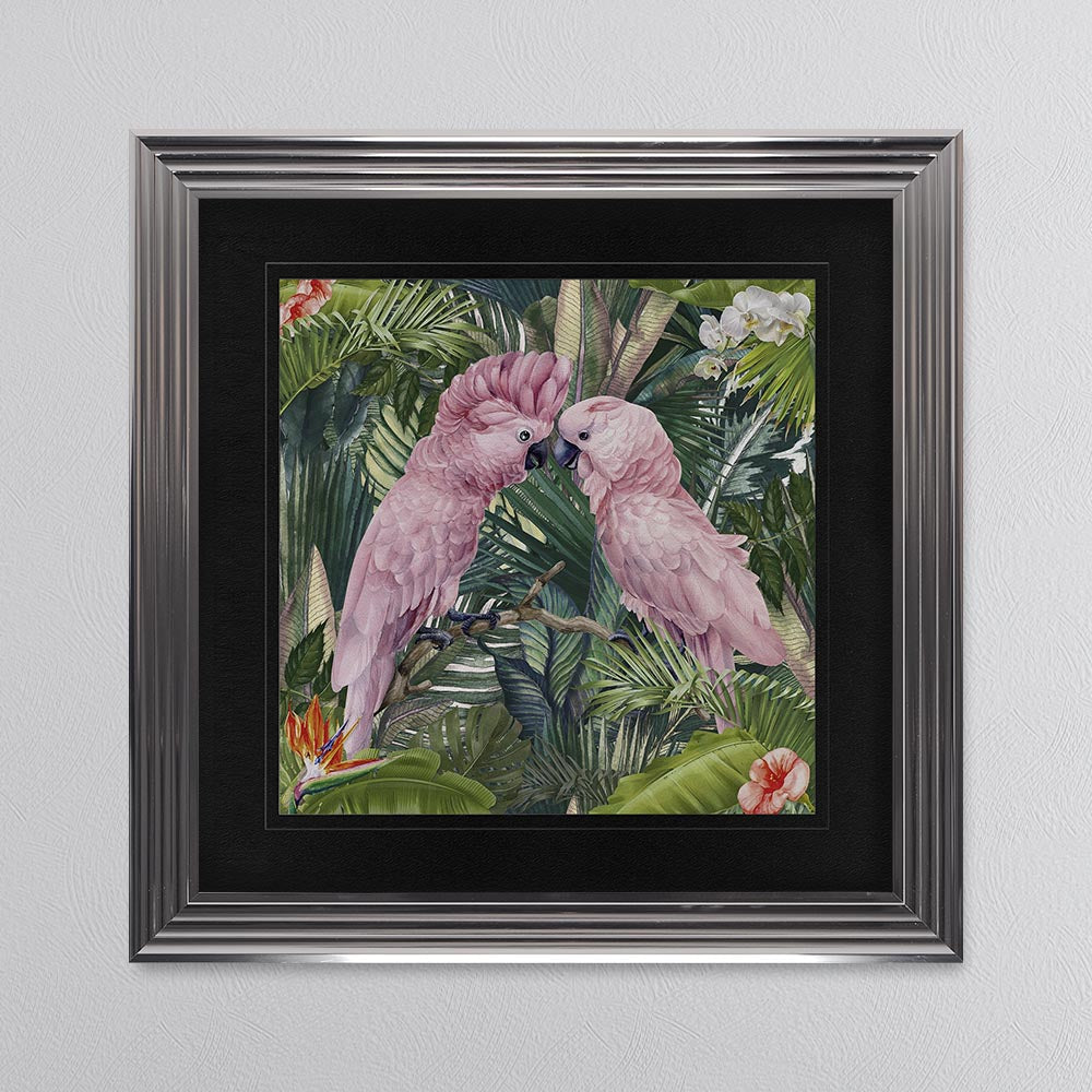Jungle Love Cockatoo with Black Mount Framed Wall Art