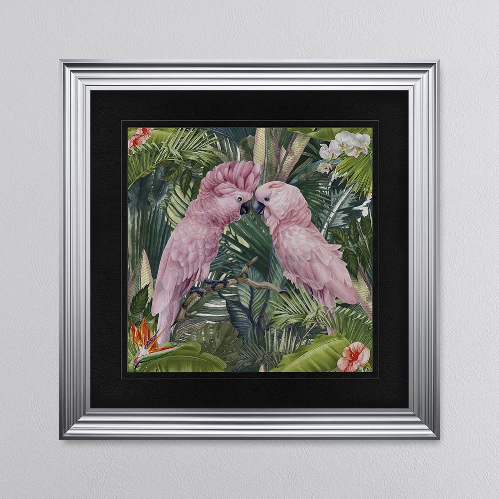 Jungle Love Cockatoo with Black Mount Framed Wall Art
