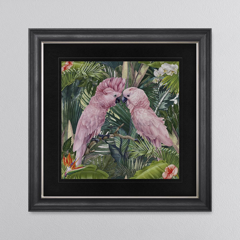 Jungle Love Cockatoo with Black Mount Framed Wall Art