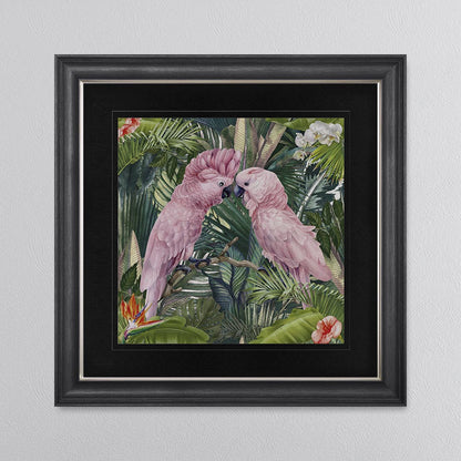 Jungle Love Cockatoo with Black Mount Framed Wall Art