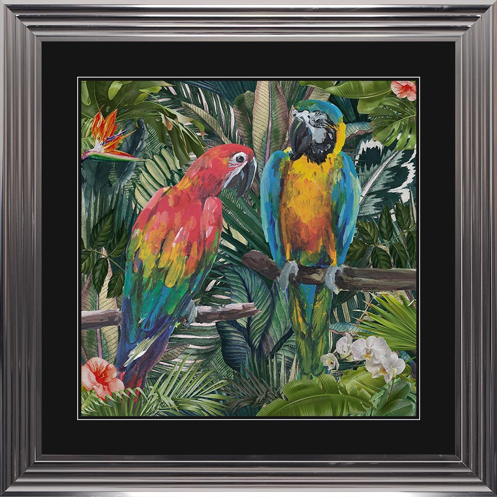 Jungle Love Parrot with Black Mount Framed Wall Art