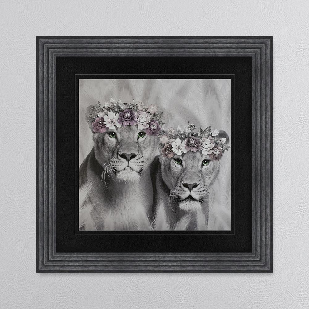 Two Lion Queens Of The Family with Black Mount Framed Wall Art