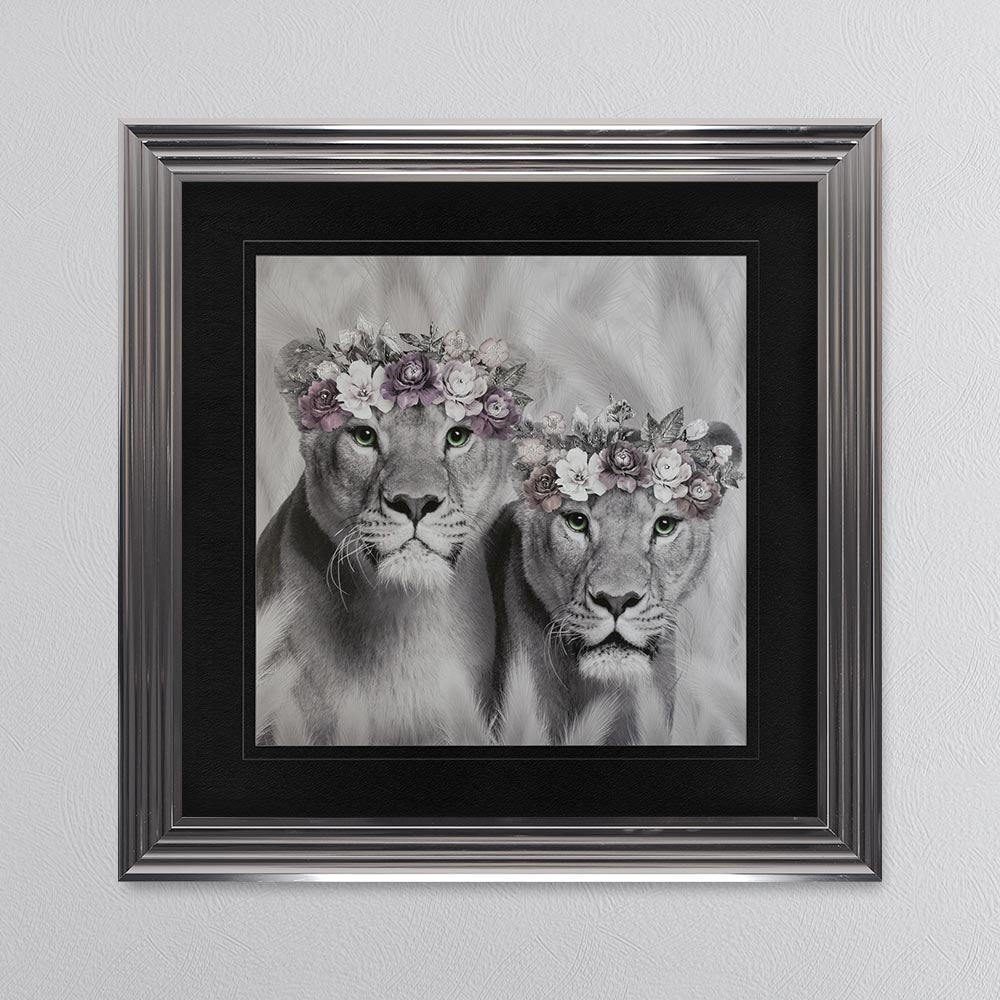 Two Lion Queens Of The Family with Black Mount Framed Wall Art