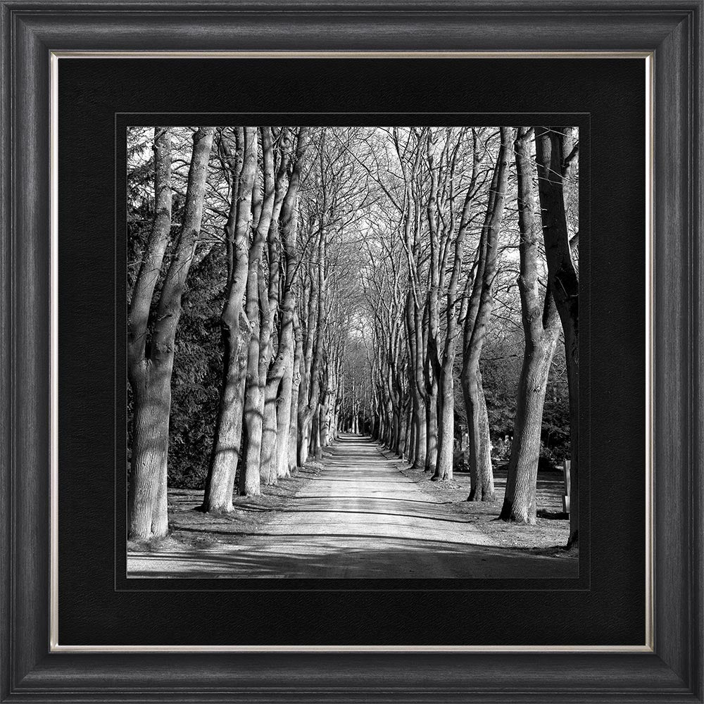 Monochrome Path Framed Wall Art