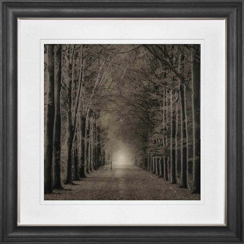 Woodland Path with Black Mount Framed Wall Art