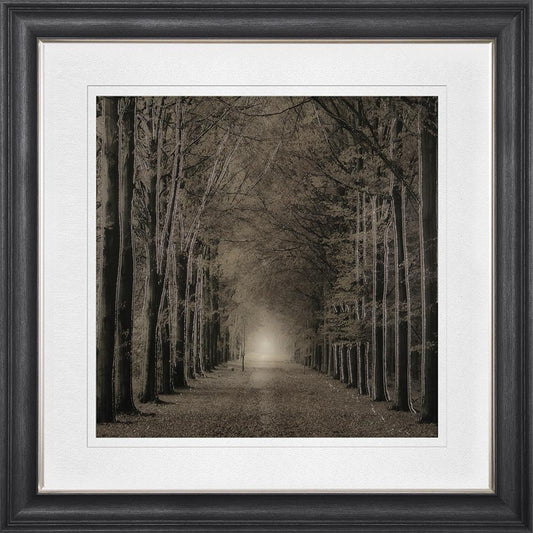 Woodland Path with Black Mount Framed Wall Art