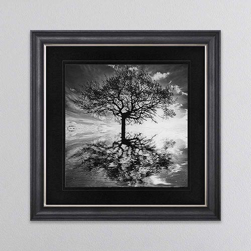 Tree Reflections with Black Mount Framed Wall Art