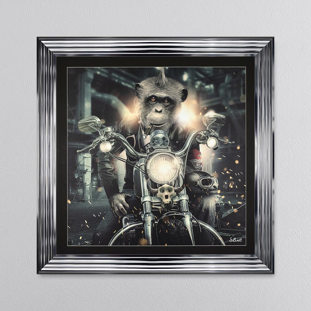 Motorbike Monkey Framed Wall Art