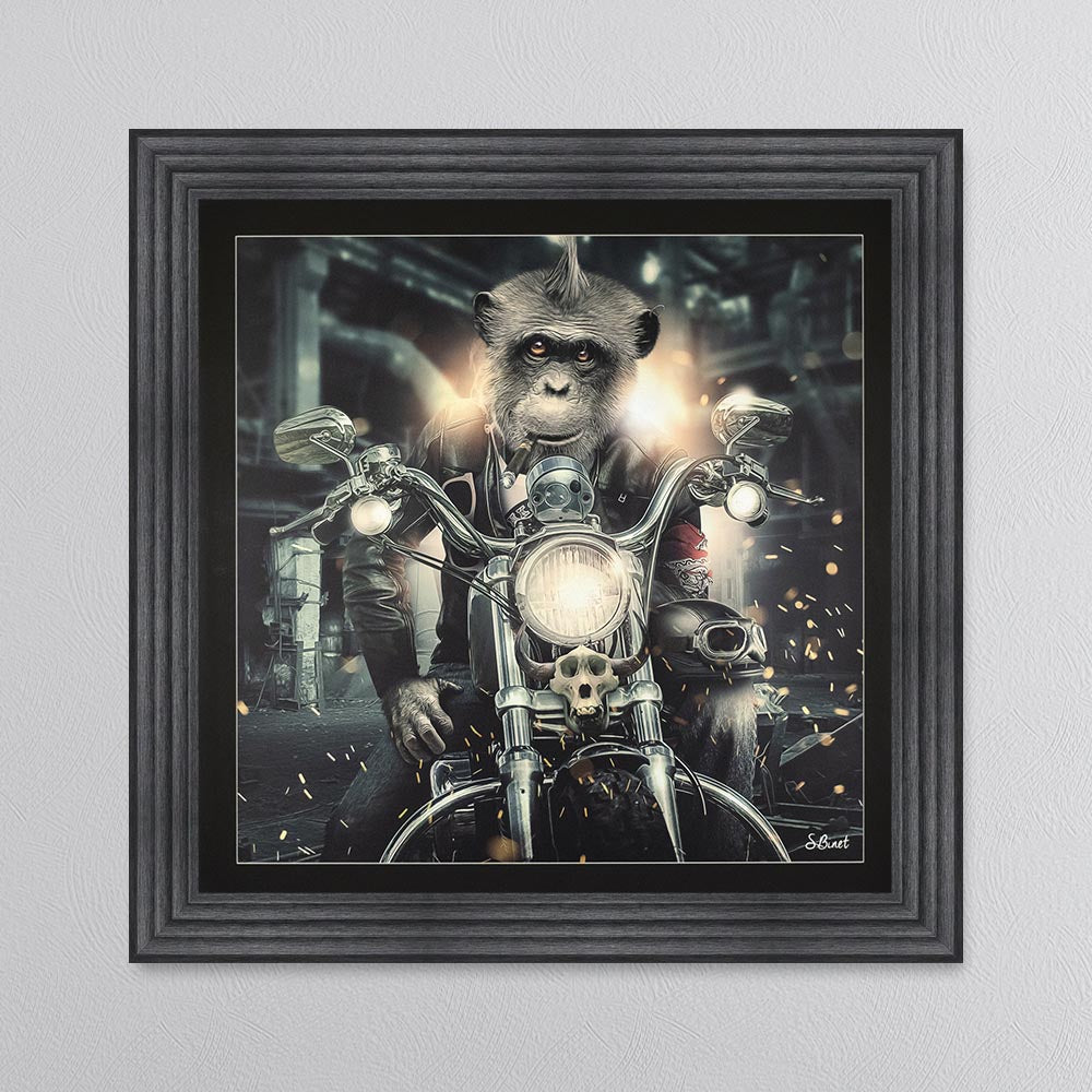 Motorbike Monkey Framed Wall Art