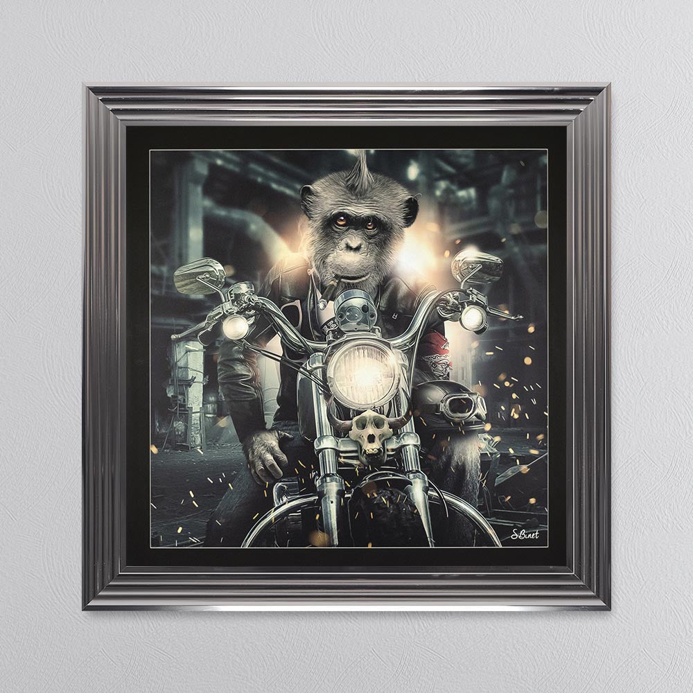 Motorbike Monkey Framed Wall Art