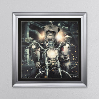Motorbike Monkey Framed Wall Art