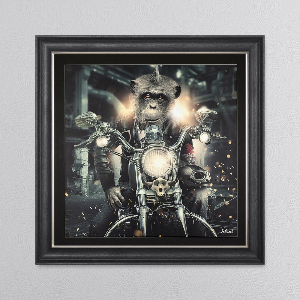 Motorbike Monkey Framed Wall Art