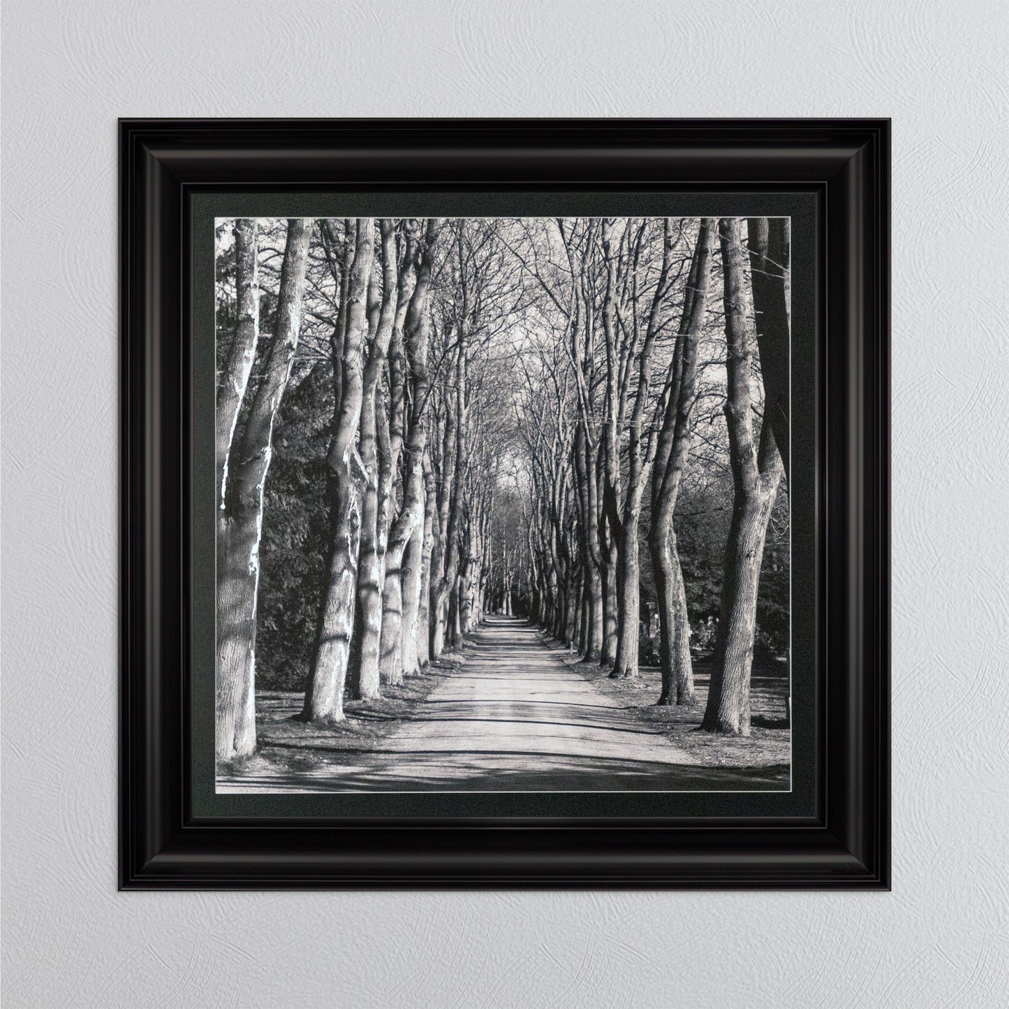 Mono Path with Silver Foil Embellishment - with Black Mount Framed Wall Art