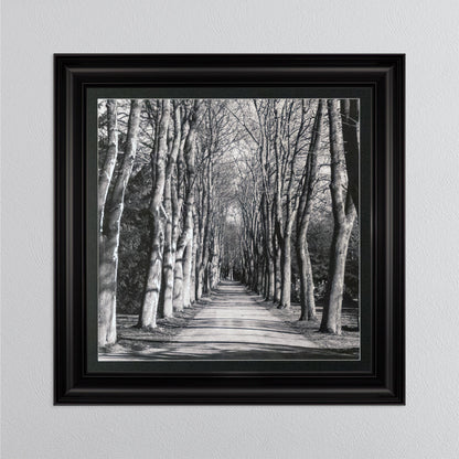 Mono Path with Silver Foil Embellishment - with Black Mount Framed Wall Art