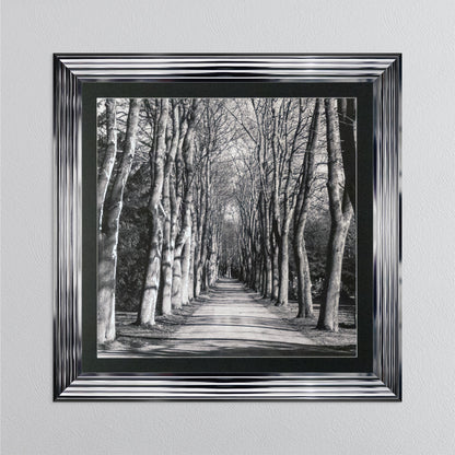 Mono Path with Silver Foil Embellishment - with Black Mount Framed Wall Art